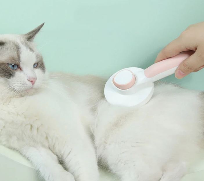 kattborste